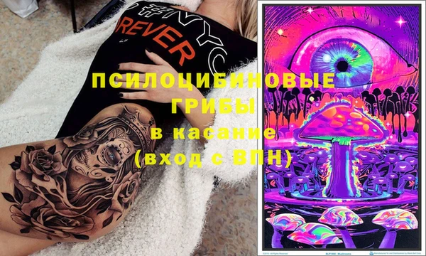 дмт Алексин