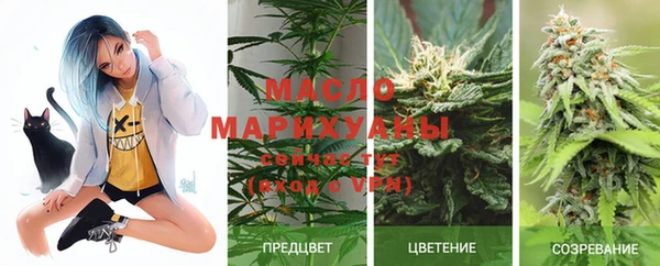 дмт Алексин