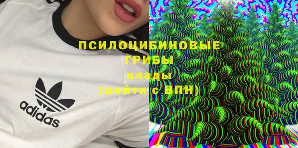 дмт Алексин
